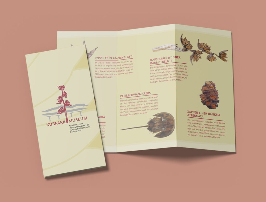 Corporate Design. Layoutgestaltung des Falt-Flyers für das Kurpark Museum, Badenweiler